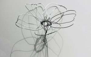 UN GIARDINO DI LUCE INTRECCIATO INSIEME -WORKSHOP @ Centro Tara Cittamani