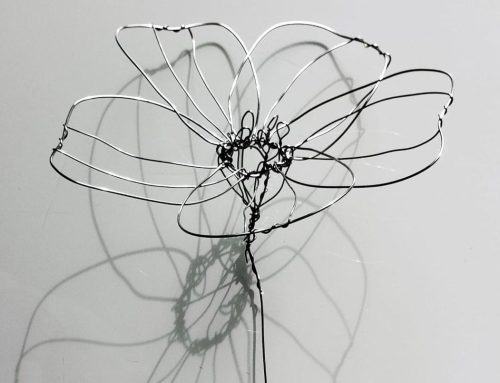 UN GIARDINO DI LUCE INTRECCIATO INSIEME -WORKSHOP